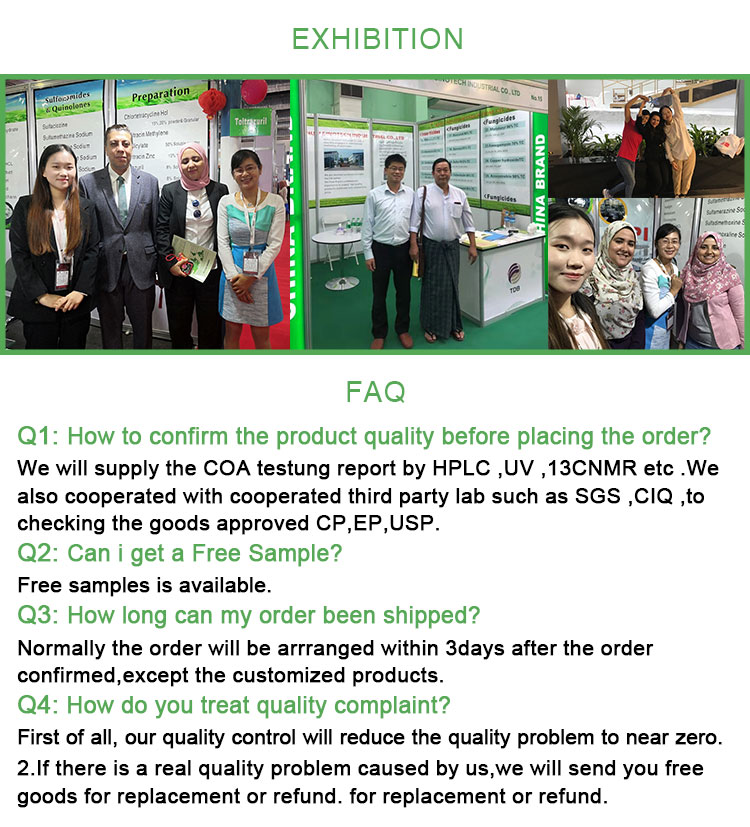 Synthetic Camphor CAS 76-22-2