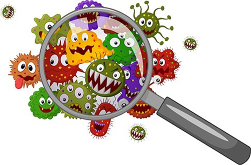 Three Kinds Of Microorganisms That Cause Food Spoilage