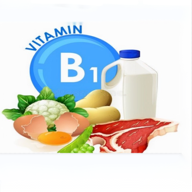 The Physiological Function of Vitamin B1